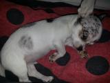 20130212_095905.jpg