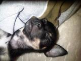 IMG00019-20110312-1619.jpg